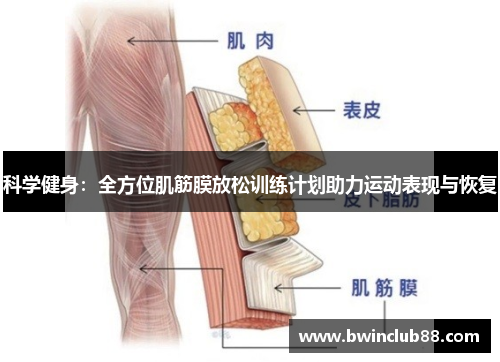 科学健身:全方位肌筋膜放松训练计划助力运动表现与恢复